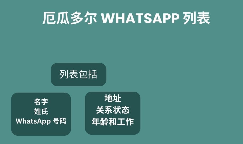 厄瓜多尔 whatsapp 列表