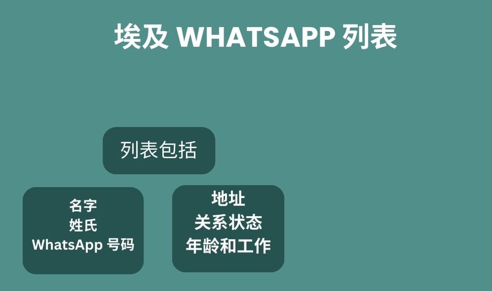埃及 whatsapp 列表
