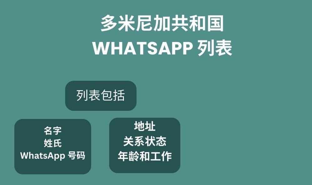 多米尼加共和国 whatsapp 列表