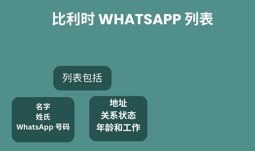 比利时 whatsapp 列表