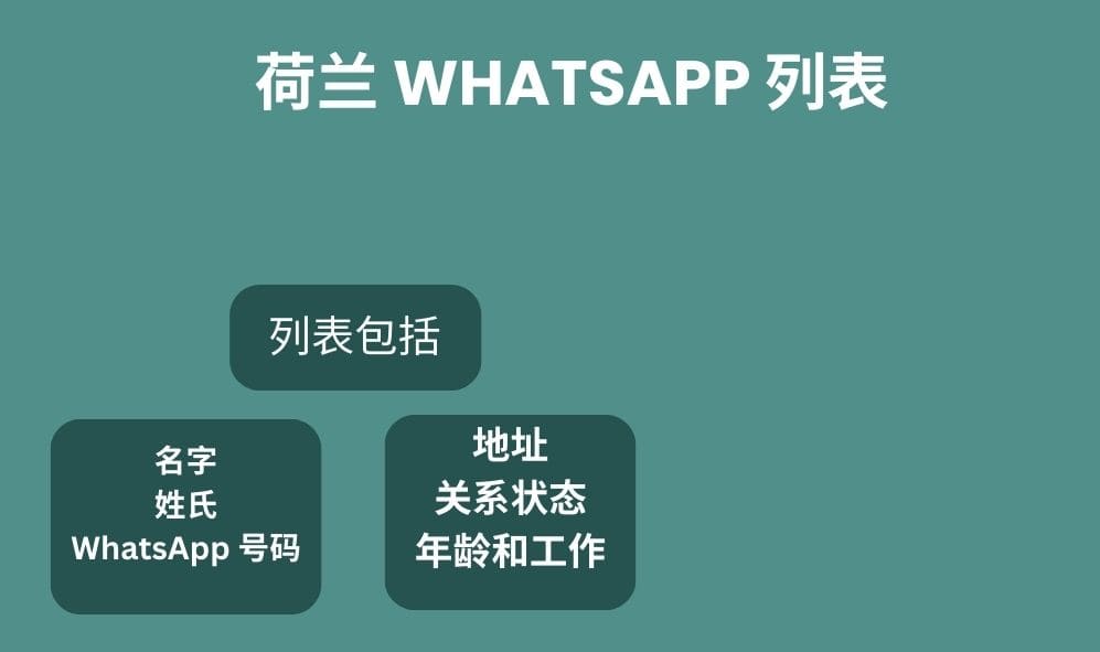 荷兰 whatsapp 列表