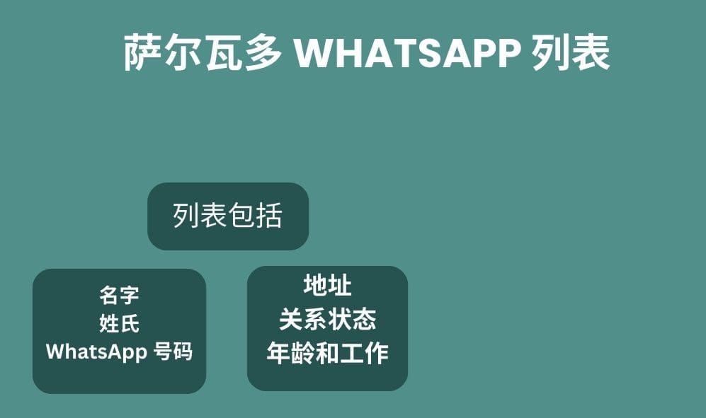 萨尔瓦多 whatsapp 列表